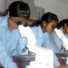 im Biologie-Labor stehen moderne Mikroskope zur Verfgung